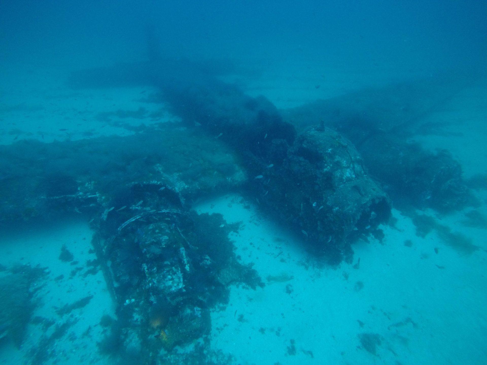 Diving duikstekken
